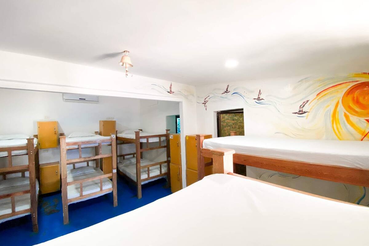 Classic Shared Dormitory, Multiple Beds | WiFi (free)