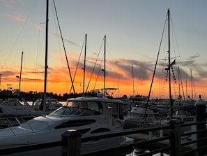 Marina