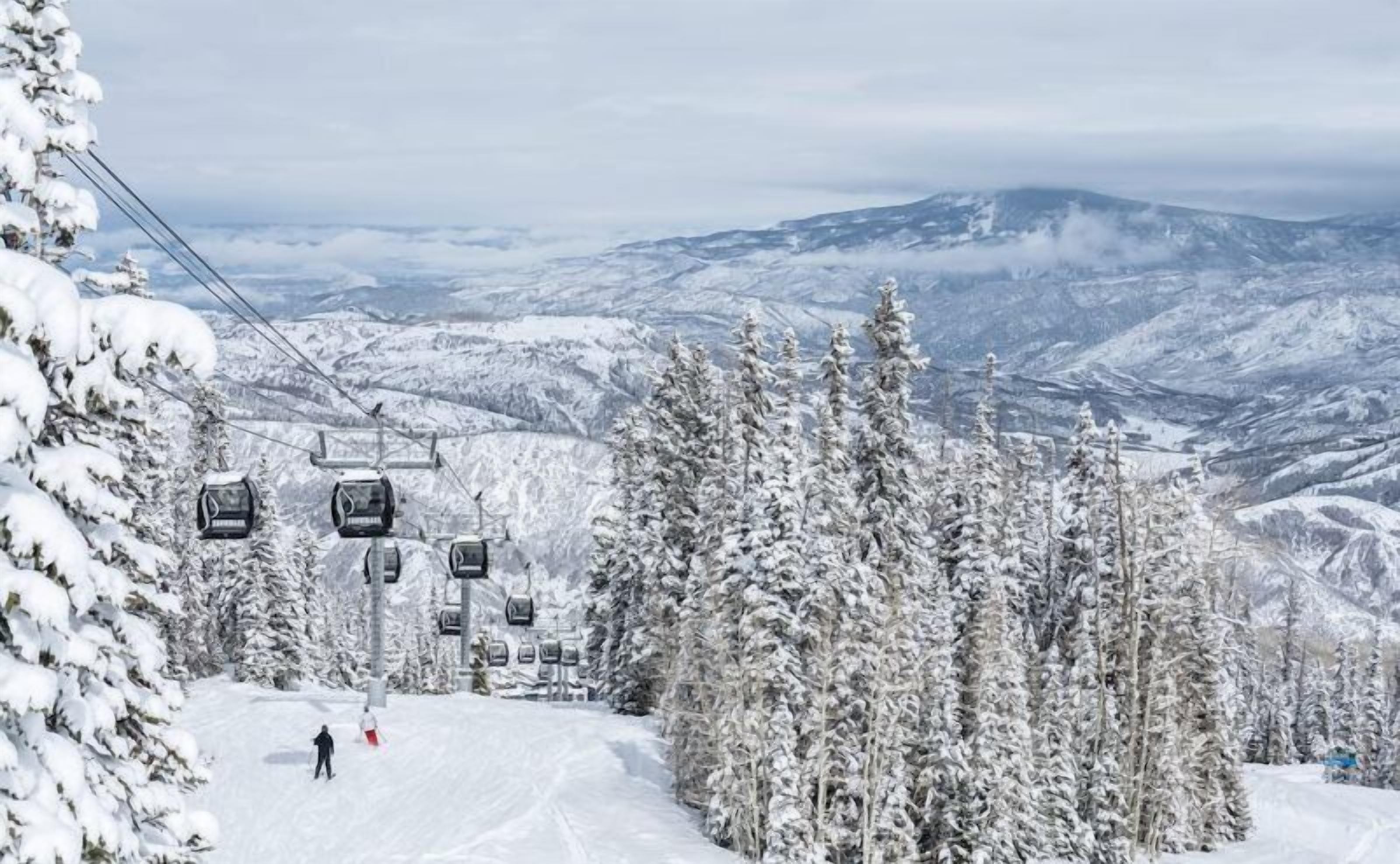 Eine Seilbahn mit Gondeln, die einen verschneiten Hang hinauffährt, umgeben von schneebedeckten Bäumen und fernen Bergen.