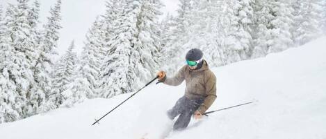 A person skiing down a snowy slope with trees in the background.