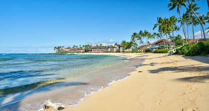 View Sea Turtles From Your Oceanfront Deck-AC-No Cleaning Fee-Free Access to Gym