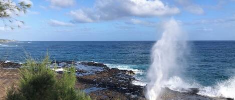 A coastal landscape with a rocky shoreline, a clear sky, and a visible water spout.