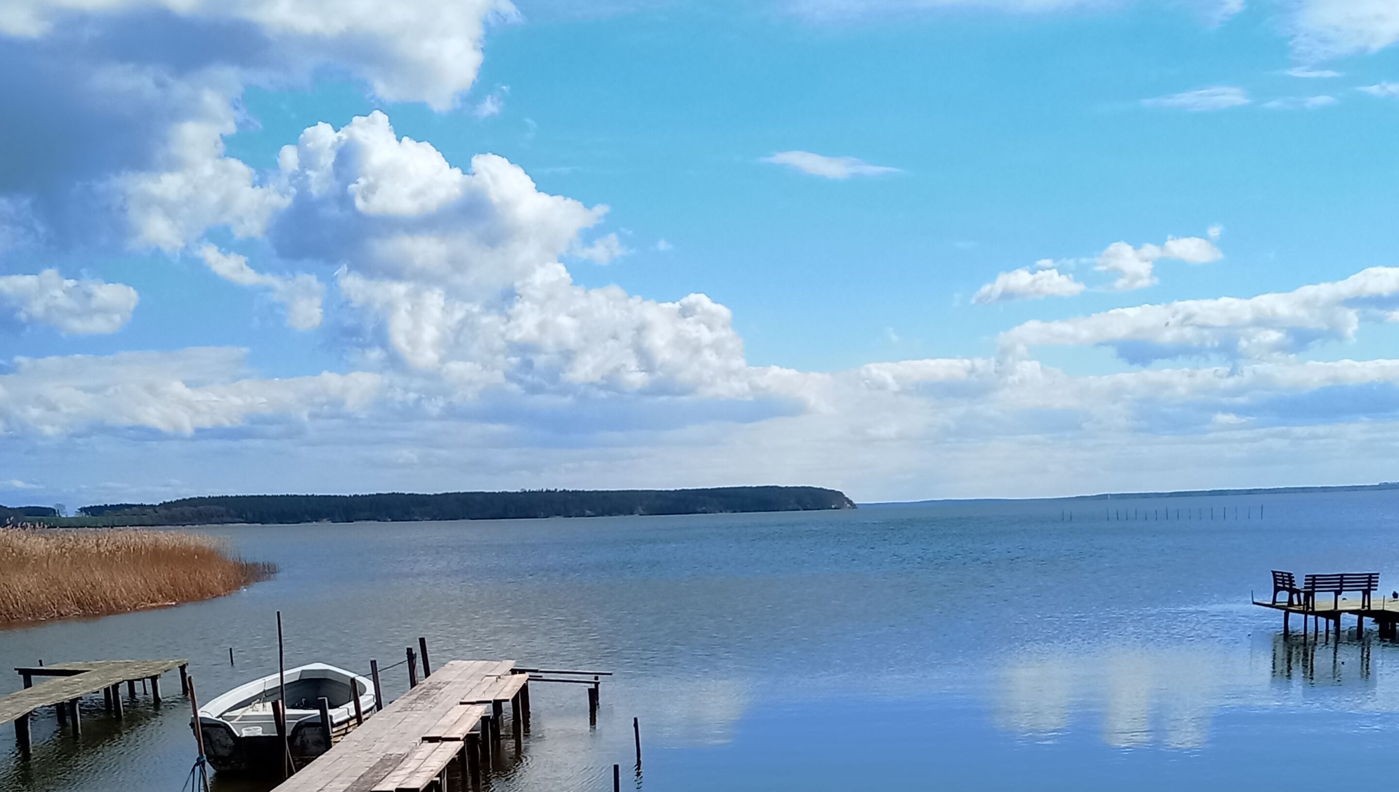 Un lago tranquilo con un muelle y un bote.