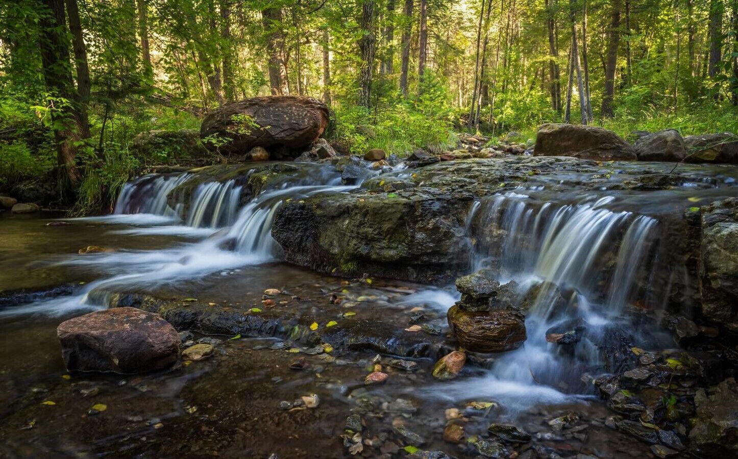 Una cascada natural en una zona boscosa amb roques i vegetació.