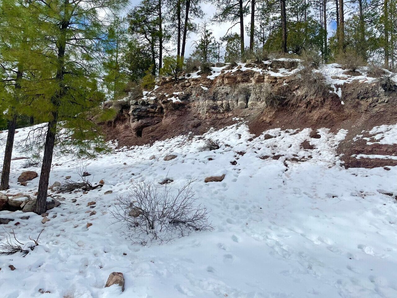 A snowy landscape with rocky terrain and sparse vegetation.