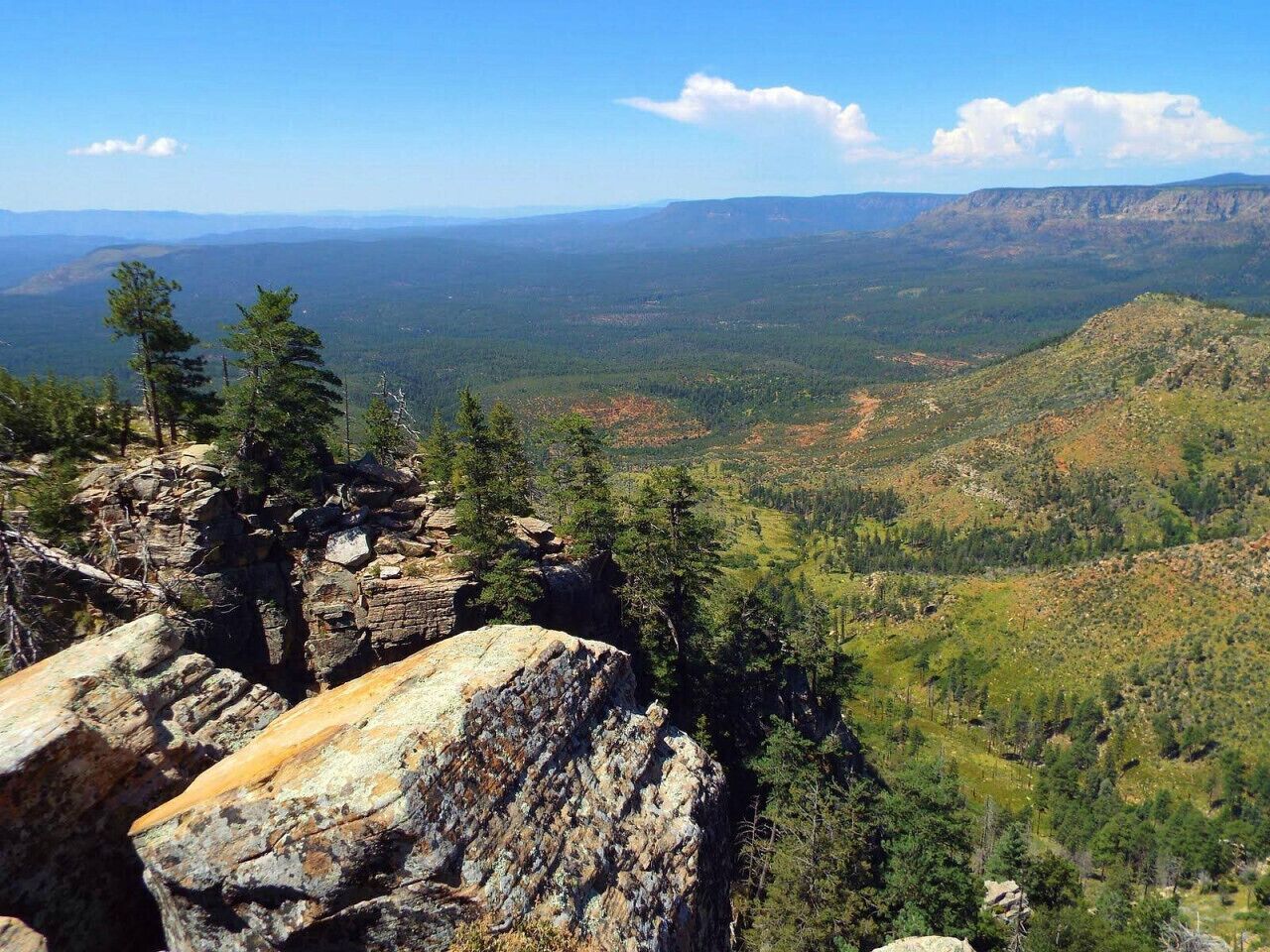 Un paisaje montañoso con afloramientos rocosos y bosque denso.