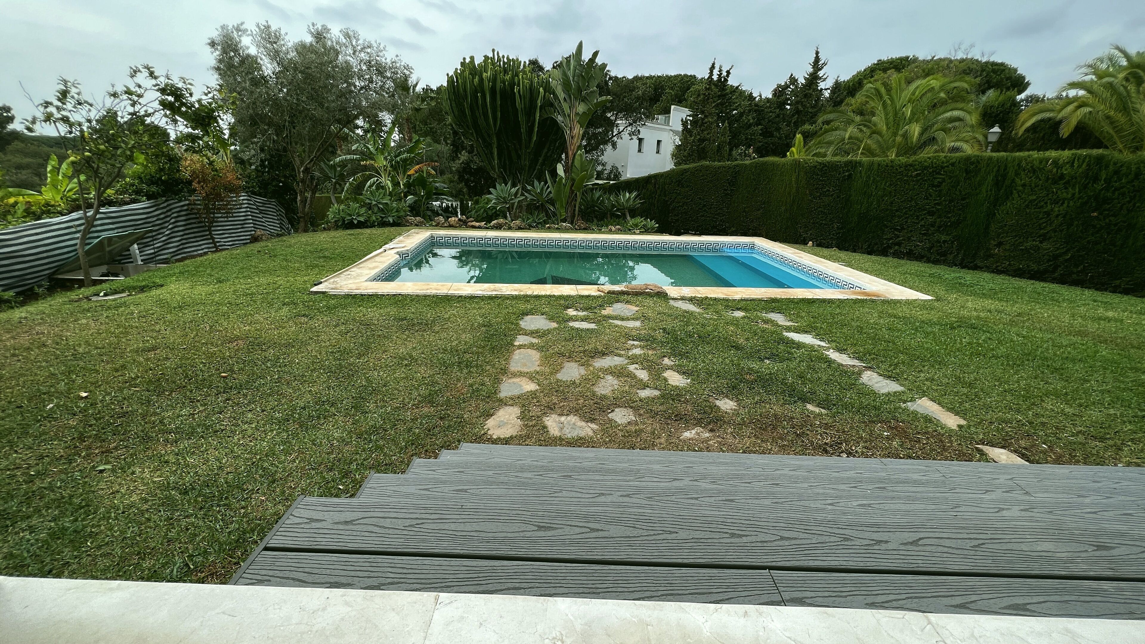 A rectangular swimming pool with a stone border, surrounded by a well-maintained lawn and various tropical plants.
