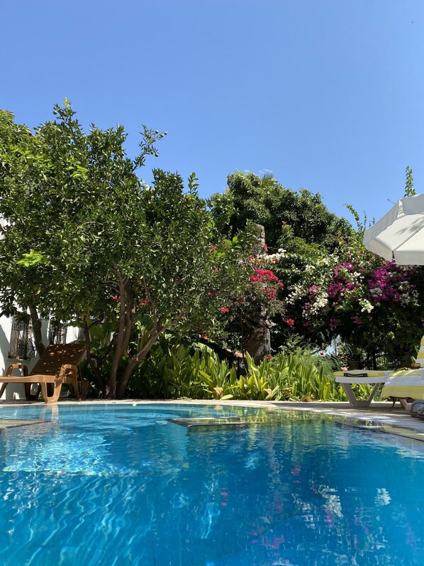 Piscine extérieure