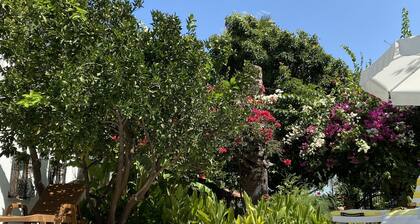 Avocado Suites Dalyan (Upstairs)
