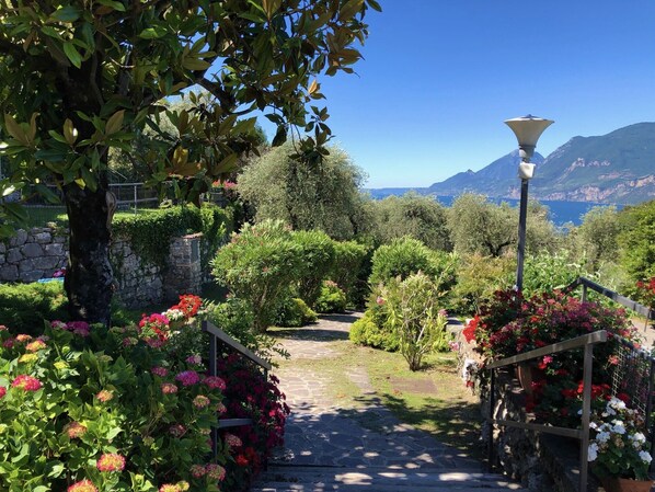 Un sentier de jardin bordé de marches en pierre, entouré d’une végétation luxuriante et de plantes en fleurs.