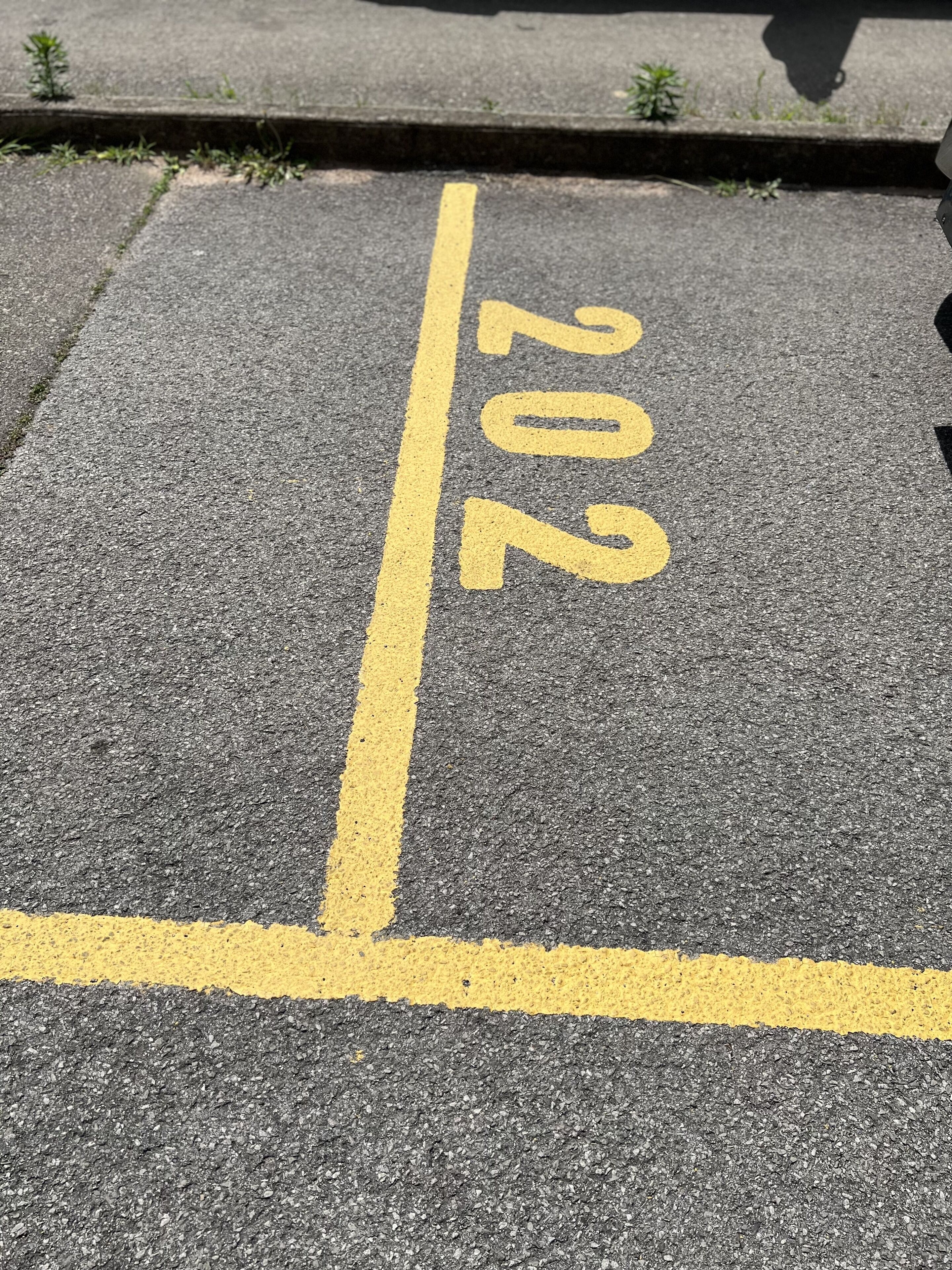 A parking space marked with the number 202.