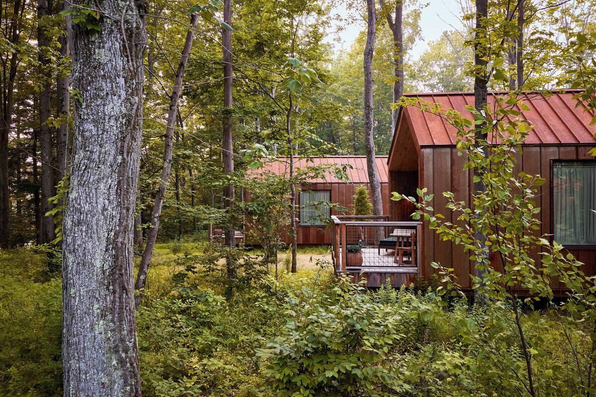 Eine Holzhütte mit Metall-Dach, umgeben von dichtem Wald.