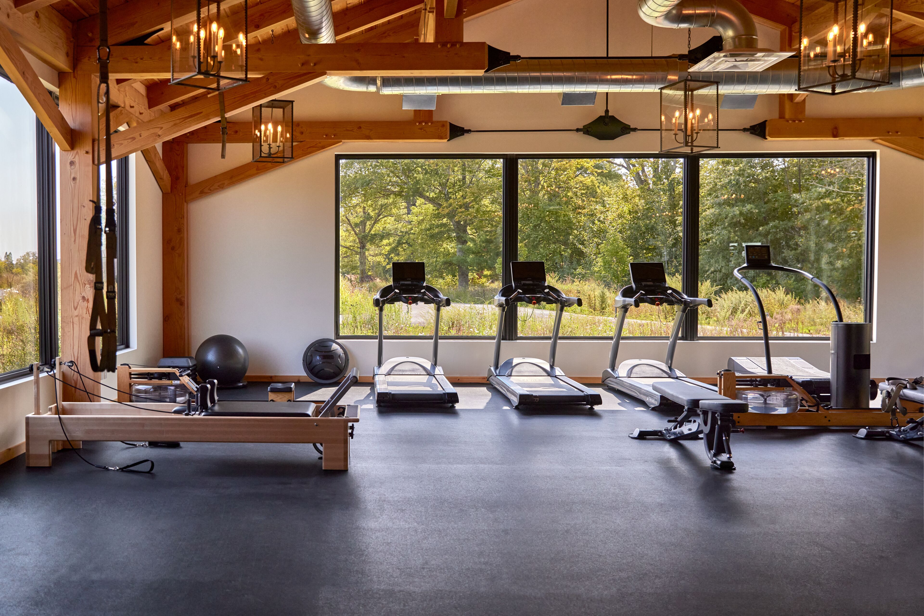 A gym with treadmills, a rowing machine, and exercise balls, with large windows overlooking a forest.