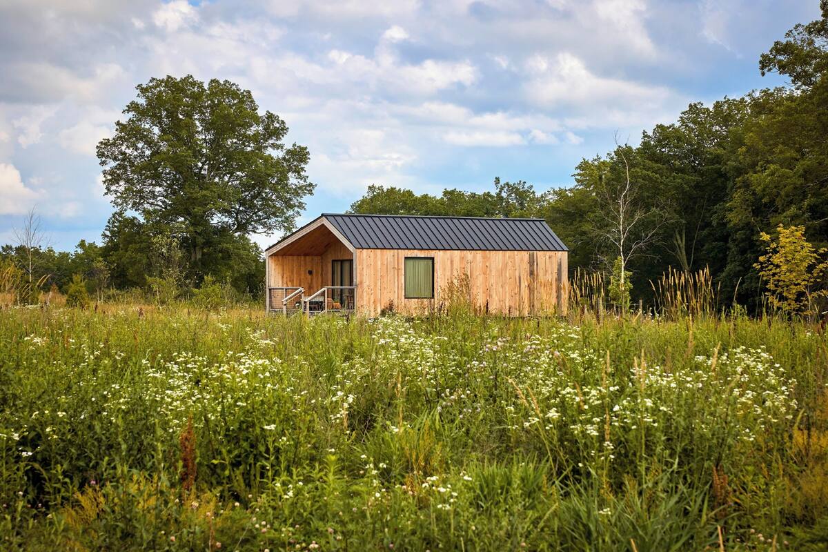 Ferienhaus (Meadow)