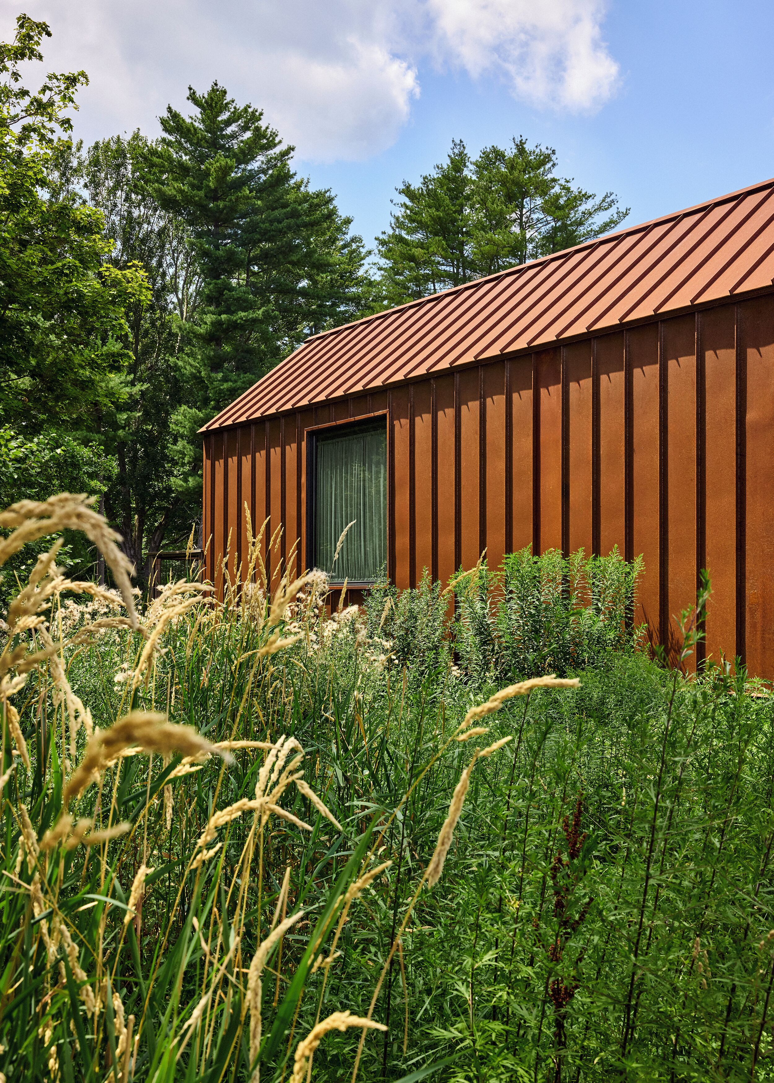 A rustic cabin with a sloped metal roof, surrounded by dense greenery and tall grasses.