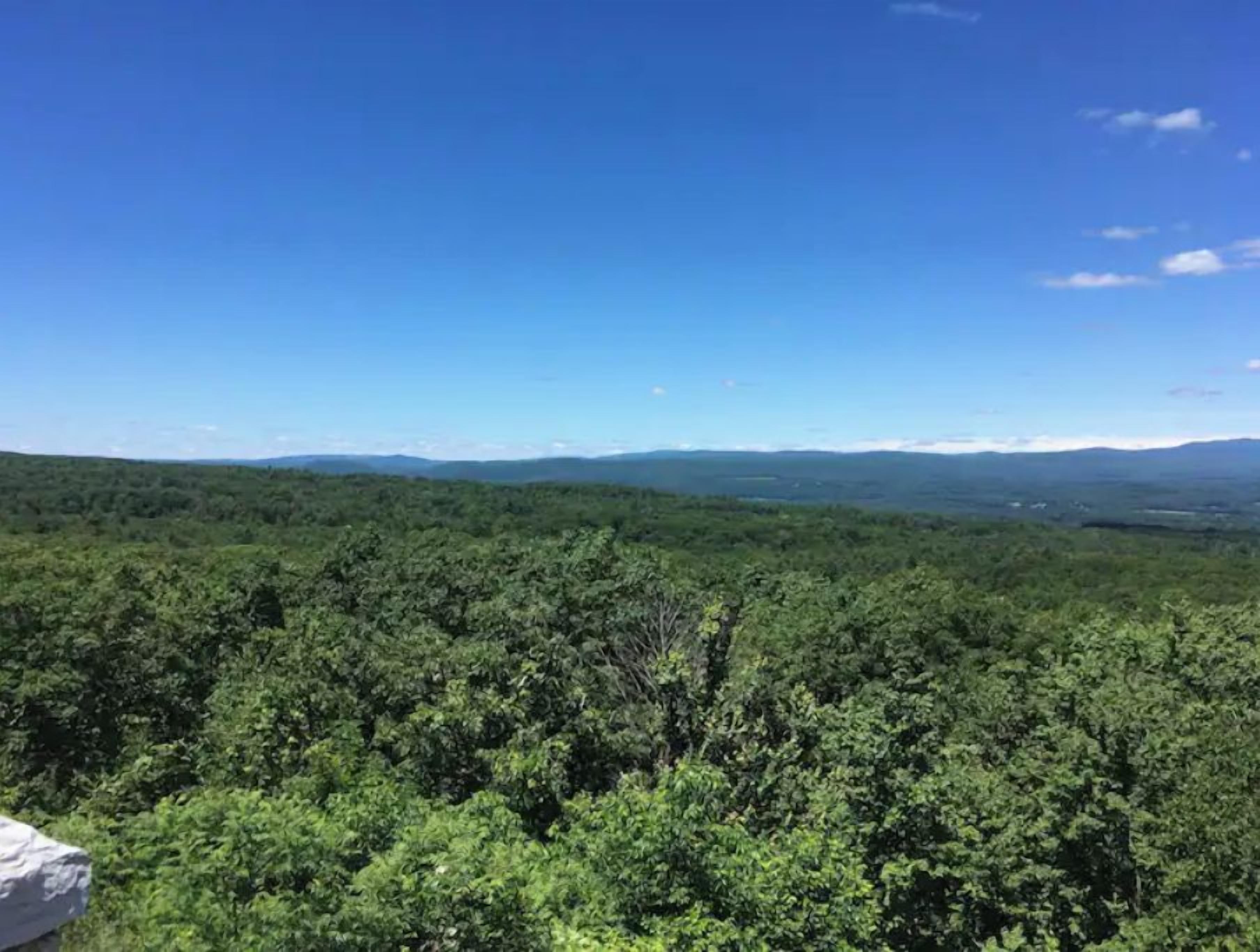 A forested landscape with a clear sky.