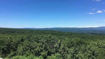 A forested landscape with a clear sky.