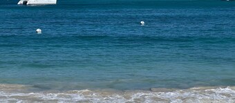 Nice 1 bed-room Apartment at Port Caraibes