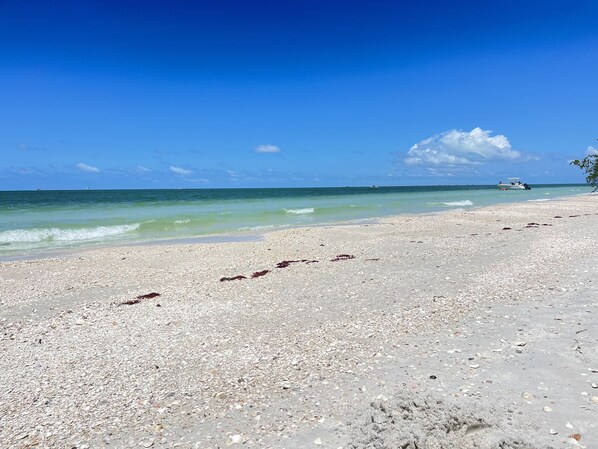 Playa en los alrededores, camastros y toallas de playa 