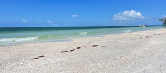 Beach getaway near FortMyers/Naples  - 25% Monthly Discount