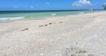 Beach getaway near FortMyers/Naples - 25% Monthly Discount
