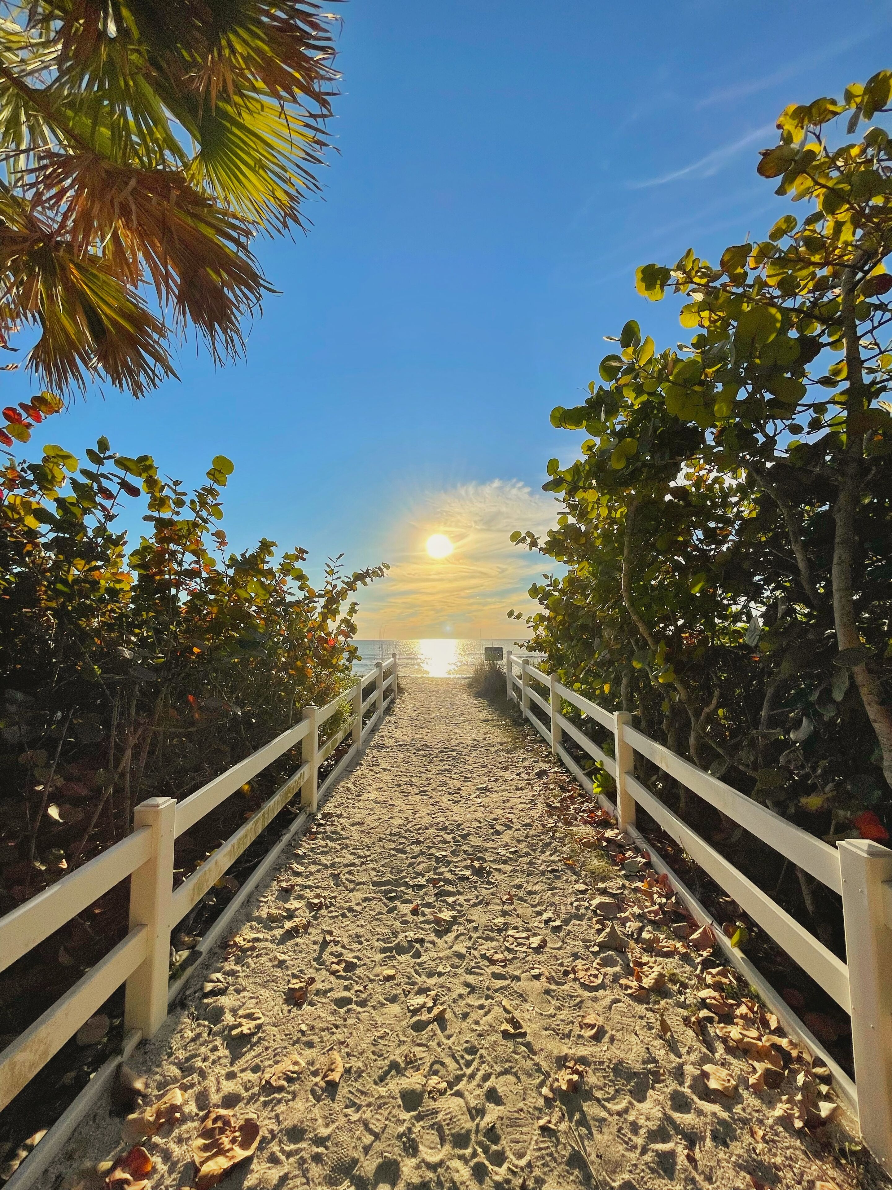 Beach nearby, sun-loungers, beach towels
