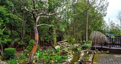 All inclusive summer rental with a private backyard oasis