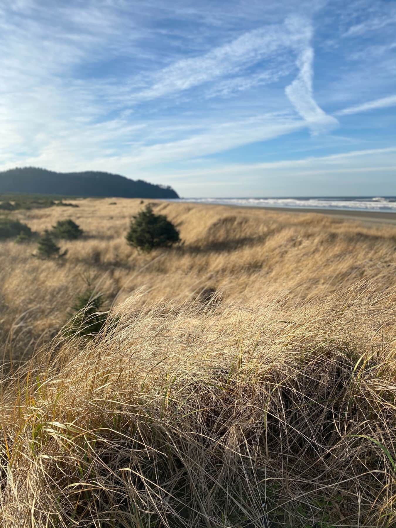 Solsenger og strandhåndklær