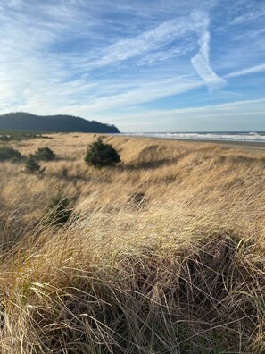 Camastros y toallas de playa