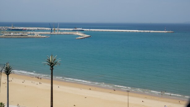 A beach with a clear view of the sea, a sandy shore, and a few palm trees. - Lovely and clean Apartment (TANGER)