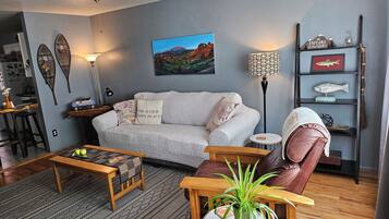 Smart TV, fireplace, books