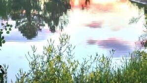 A serene lakeside view with trees and a clear sky. - The fishing suite (Red Feather Lakes)