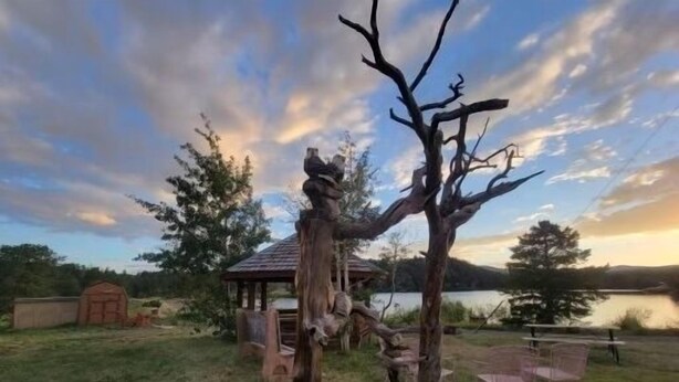 A rustic outdoor setting with a wooden gazebo, a large tree, and a lake in the background. - The fishing suite (Red Feather Lakes)