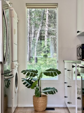 Private kitchen - The Modern Smart Chalet near Hunter and Windham (East Jewett)