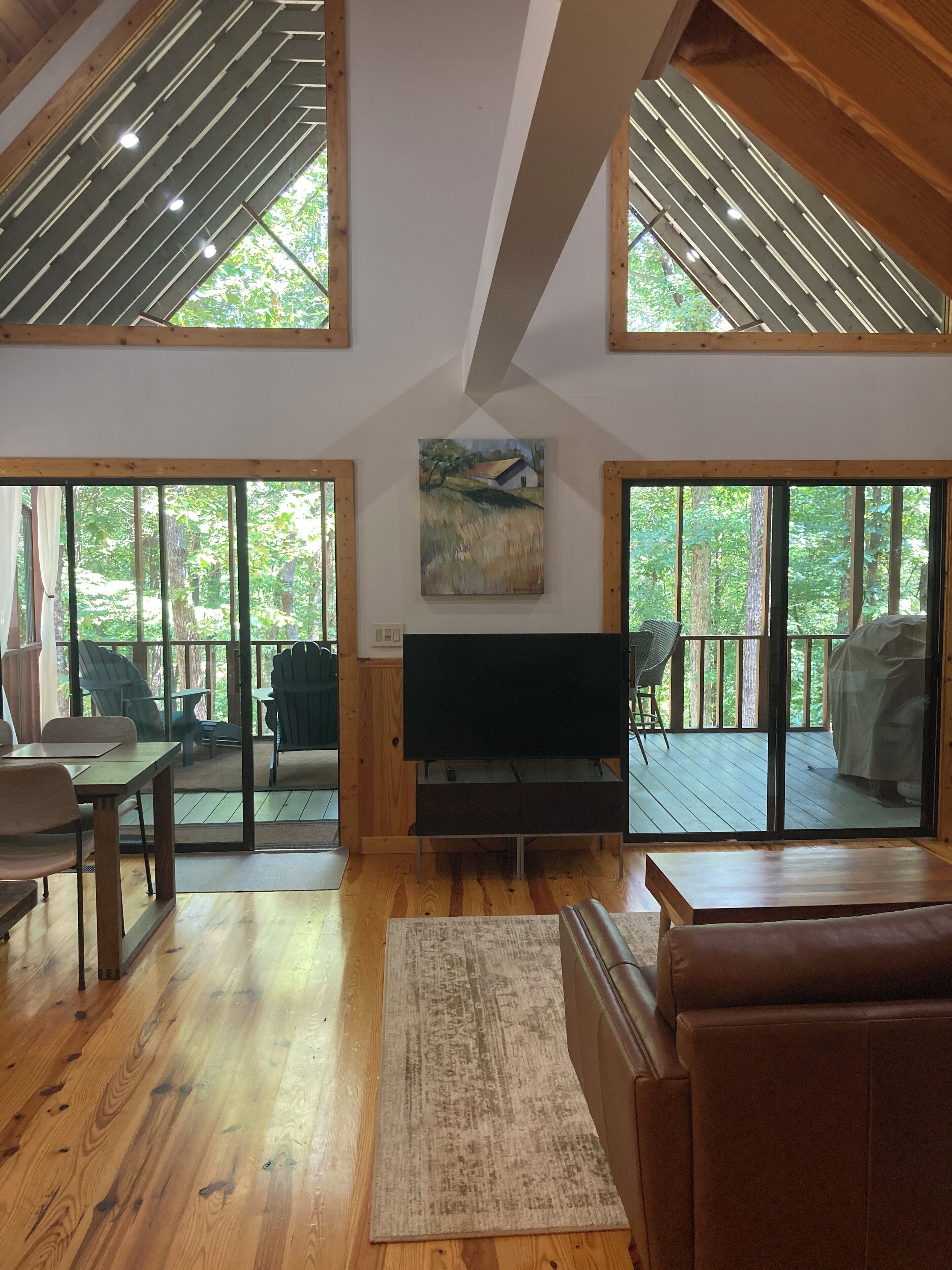 Smart TV, fireplace, DVD player, video library