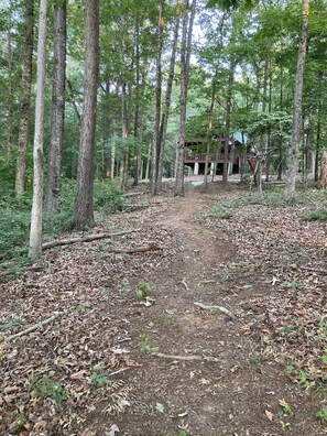 Property grounds - Almost Perfect Cabin (Lavonia)