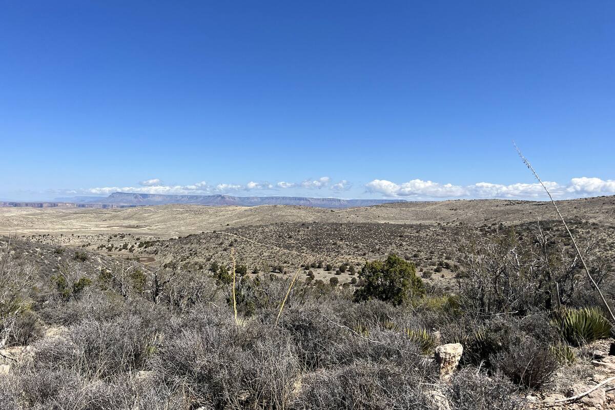 A vast, open landscape with sparse vegetation and distant mountains under a clear blue sky.