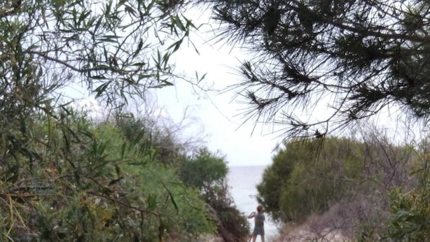 Un sendero arenoso que lleva a la playa, rodeado de vegetación densa.