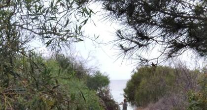 Detached villa with garden a few meters from the sea