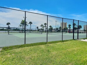 Sports court - The Sanibel Sunshine Cottage (Fort Myers)