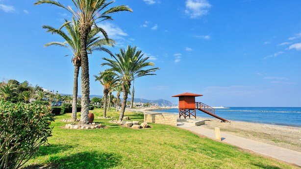 Blick auf einen Strand mit Palmen, einem Rettungsturm und einem wolkenlosen, blauen Himmel.