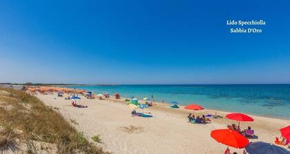 Villa vera, garden,wi-fi, 7 beds, 3 km from citycentre, 6 km from Nat. Reserve