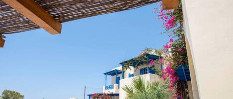 Leilighet | Eksteriør