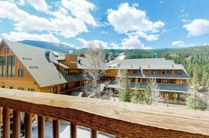 コンドミニアム (1 Bedroom Mountain Condo in River Run) | 外観