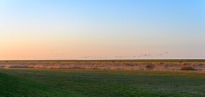 Botón de imagen sin clasificar, 2 de 26