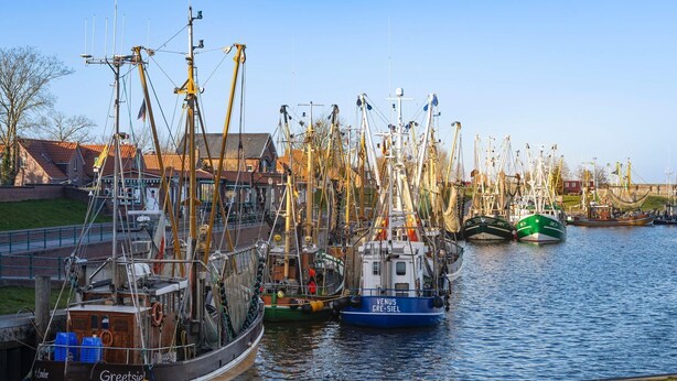 A harbor with multiple fishing boats docked along the water. - Wattperle - Wunderschöne Obergeschosswohnung in Greetsiel (Krummhörn)