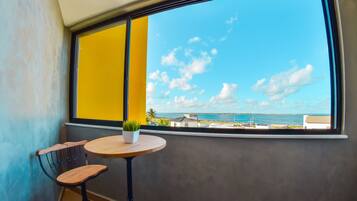 Beach/ocean view