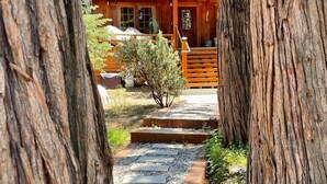 A wooden cabin with a stone pathway leading to a wooden deck. - Cozy cabin retreat nestled among forest trees (Idyllwild-Pine Cove)