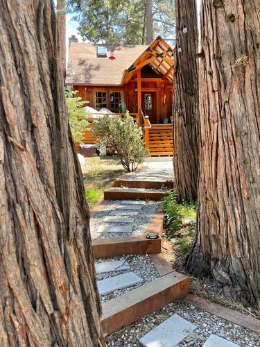 Cozy cabin retreat nestled among forest trees