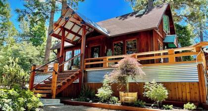 Cozy cabin retreat nestled among forest trees
